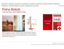 Tablet Screenshot of polnebolesti.com